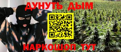 apvp Нальчик